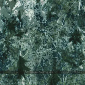 Voices from the lake